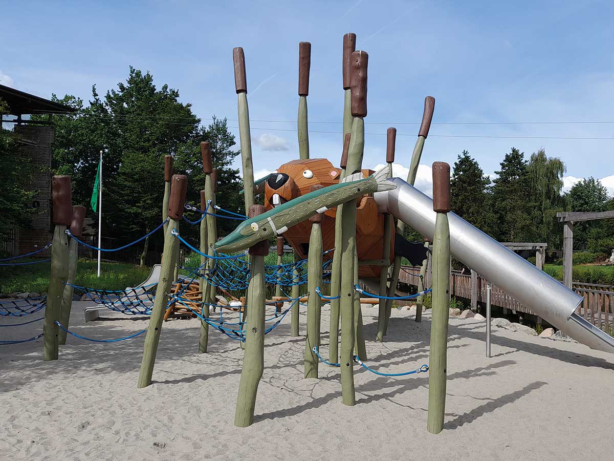 N-190-Schwimmender-Biber-3