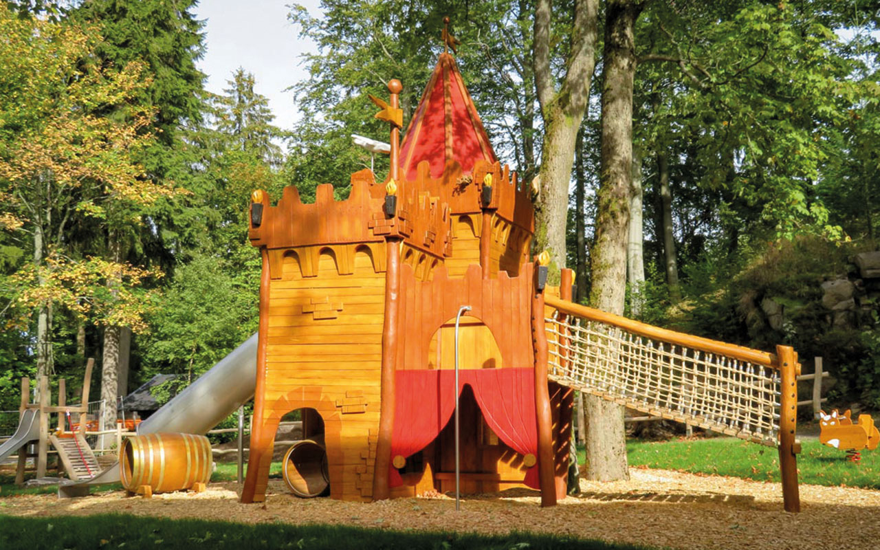 T-110-An-den-Greifensteinen,-Ehrenfriedersdorf-02